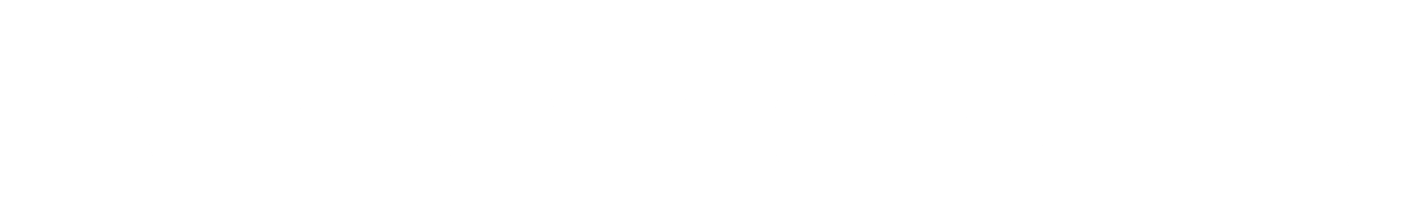 logo-footer